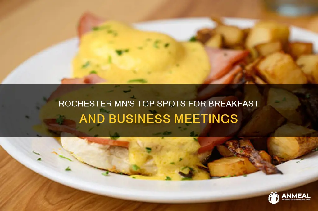 where to meet for breakfast and business in rochester mn