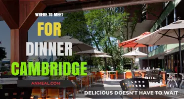 Best Dinner Spots in Cambridge: Top Restaurants to Meet and Dine