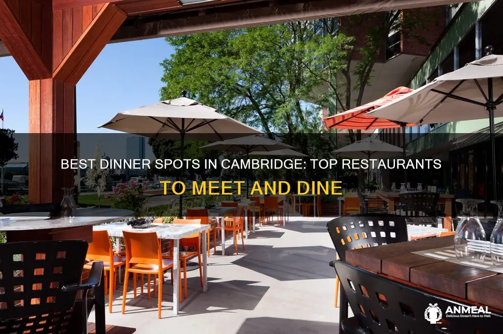 where to meet for dinner cambridge