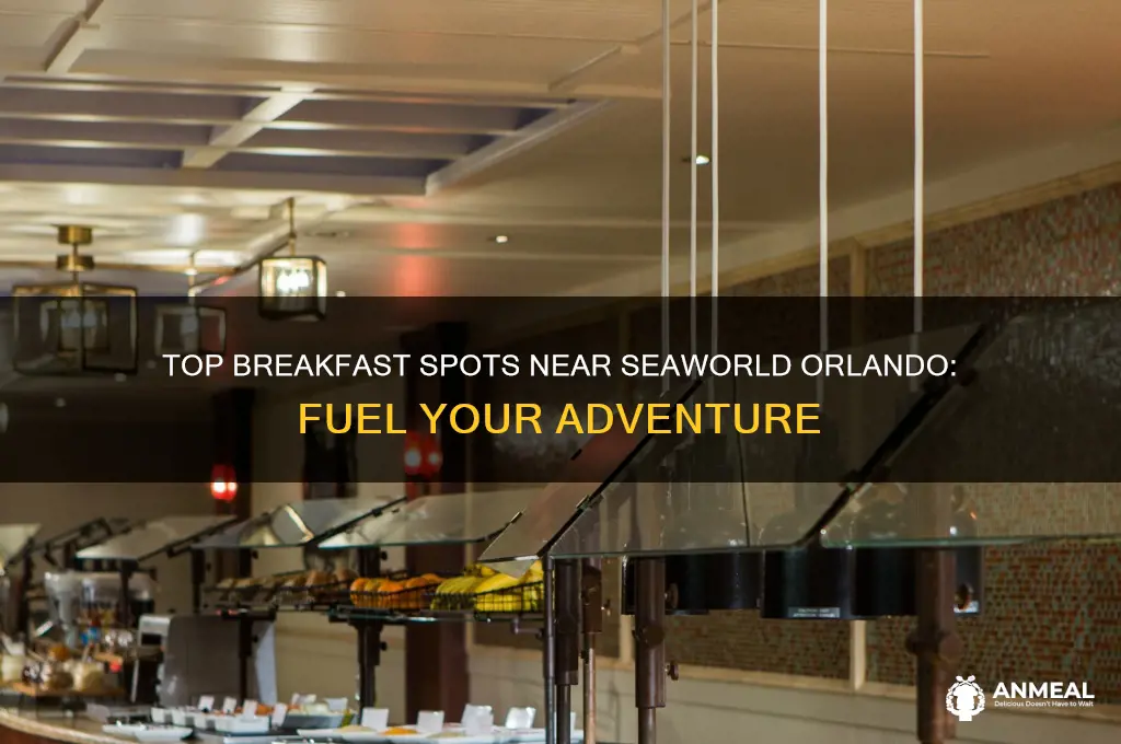 where to order breakfast in orlando florida near seaworld