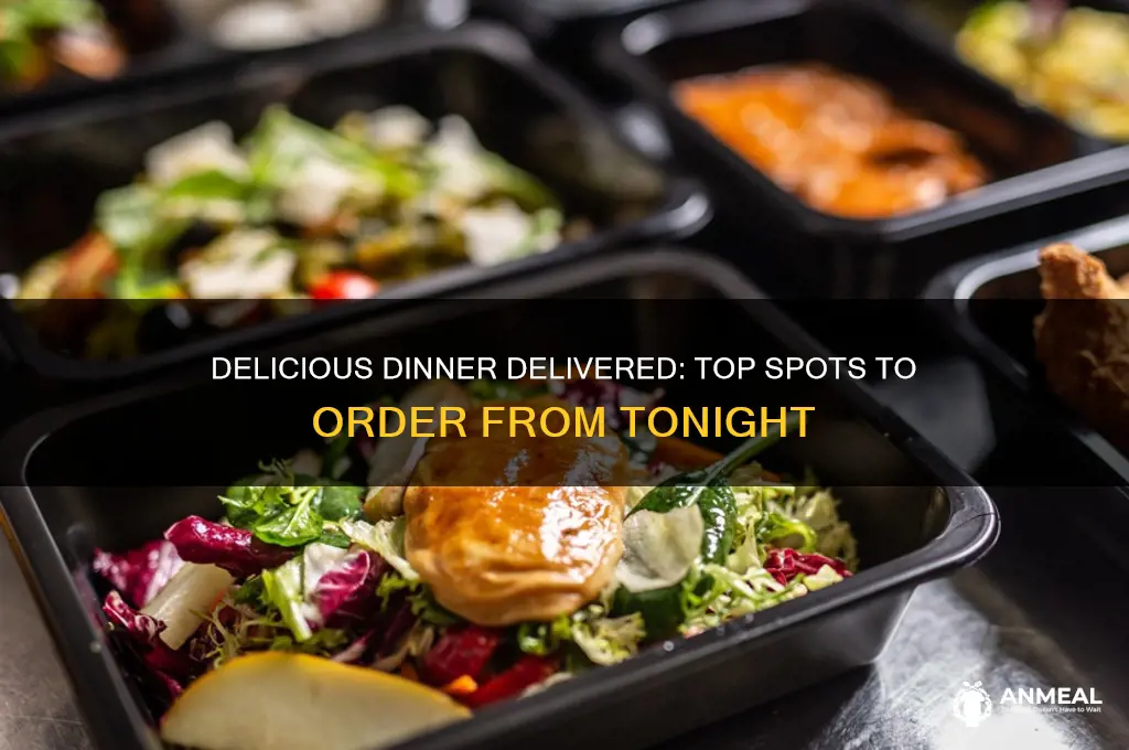 where to order dinner from tonight