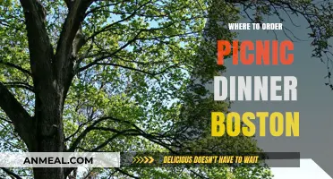 Best Spots to Order Picnic Dinner in Boston for Outdoor Dining