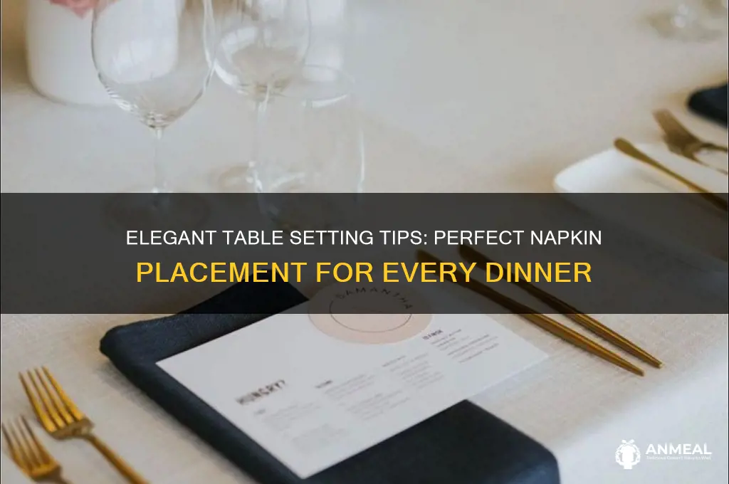 where to place dinner napkins