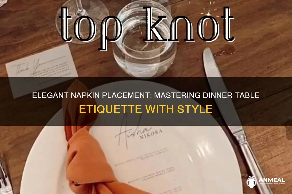 where to place napkins on table for dinner