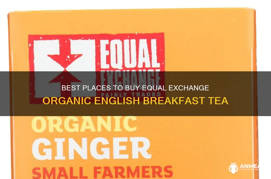 where to purchase equal exchange organic english breakfast tea