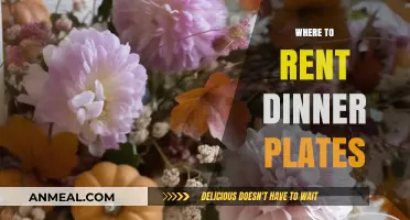 Top Places to Rent Elegant Dinner Plates for Your Event