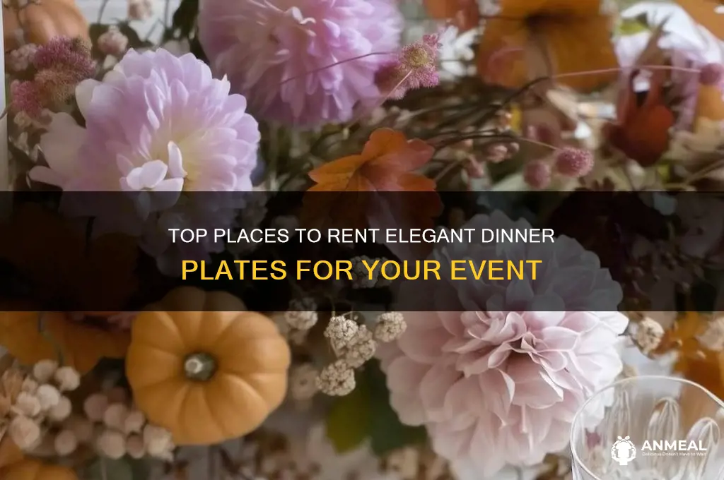 where to rent dinner plates