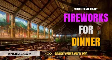 Dine with Magic: Top Spots to Watch Disney Fireworks
