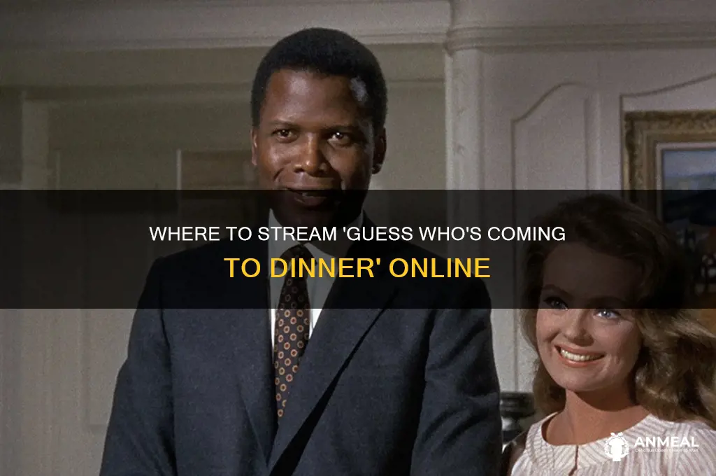 where to stream guess who