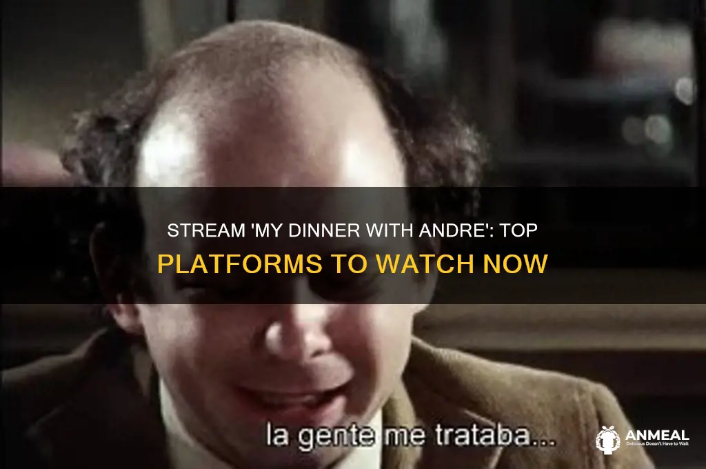 where to stream my dinner with andre