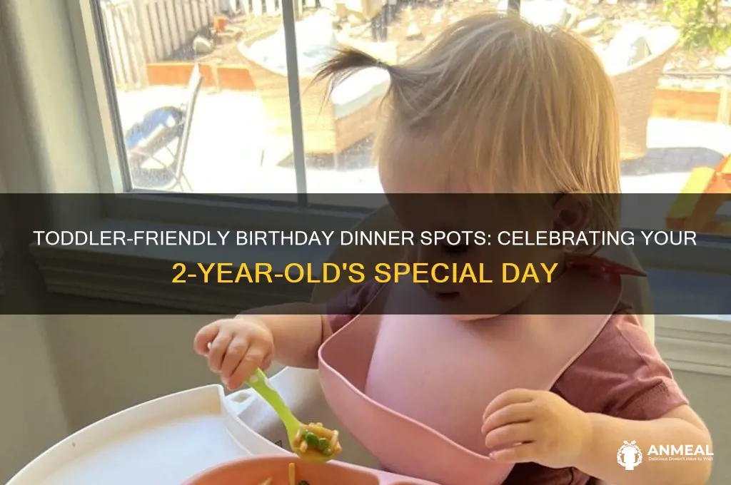 where to take 2 year old for birthday dinner
