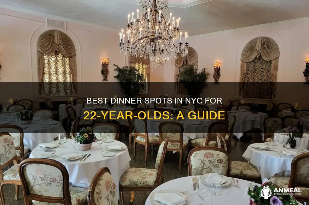 where to take 22 years olds for dinner new york