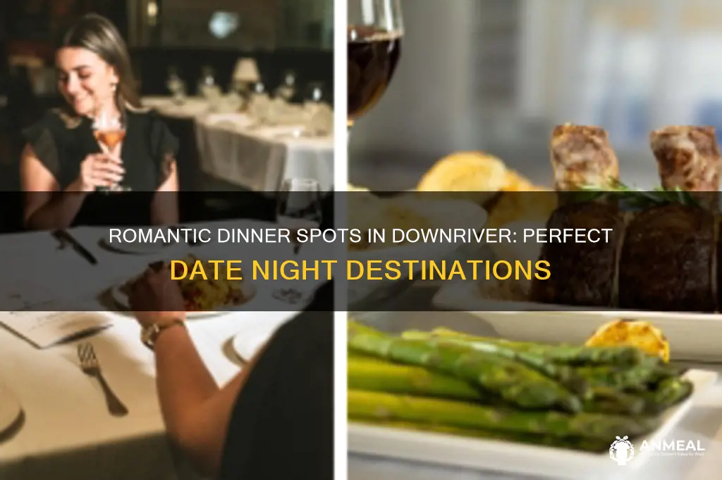 where to take a date to dinner in downriver