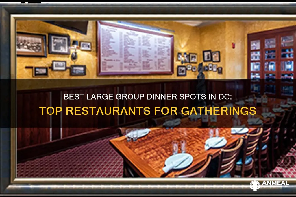 where to take a large group dinner dc