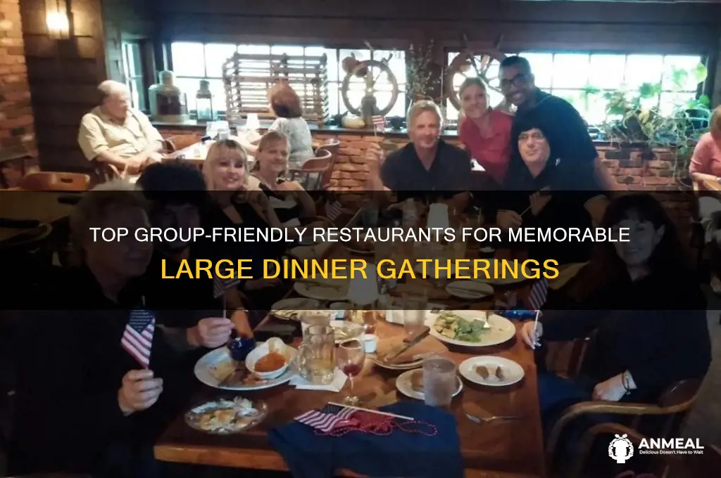 where to take a large group dinner