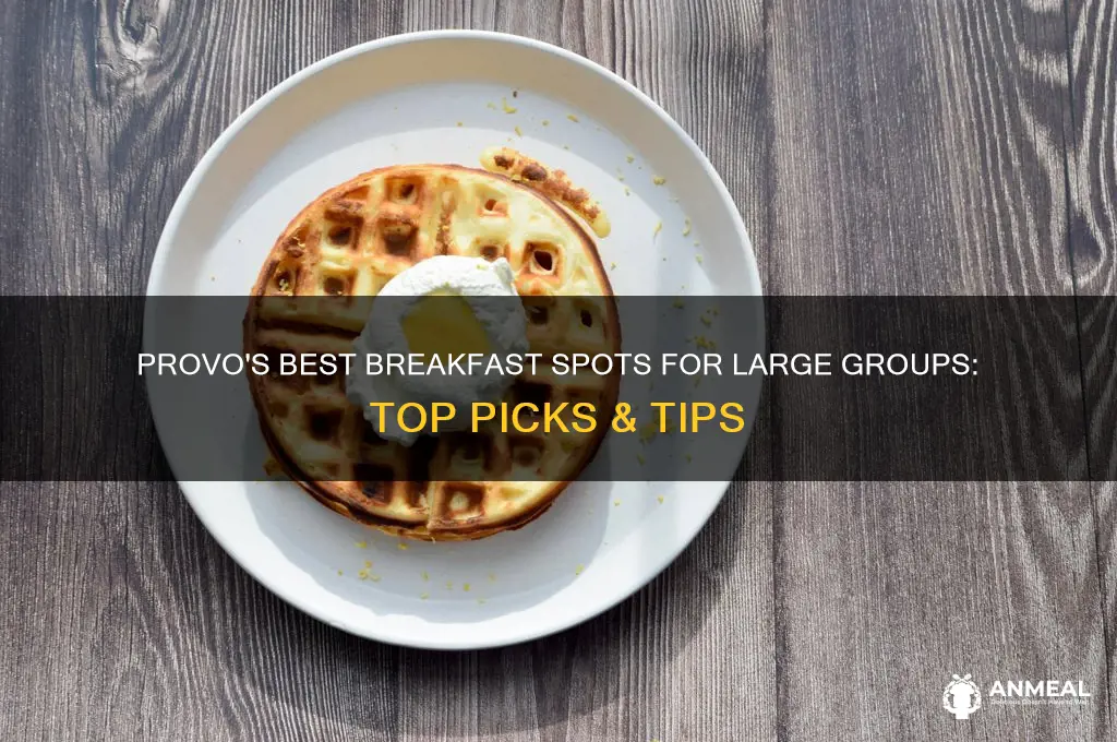 where to take a large group from breakfast provo