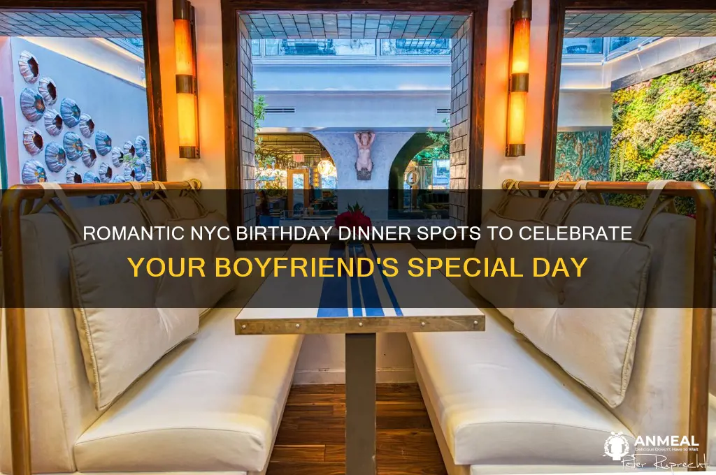 where to take boyfriend for birthday dinner nyc