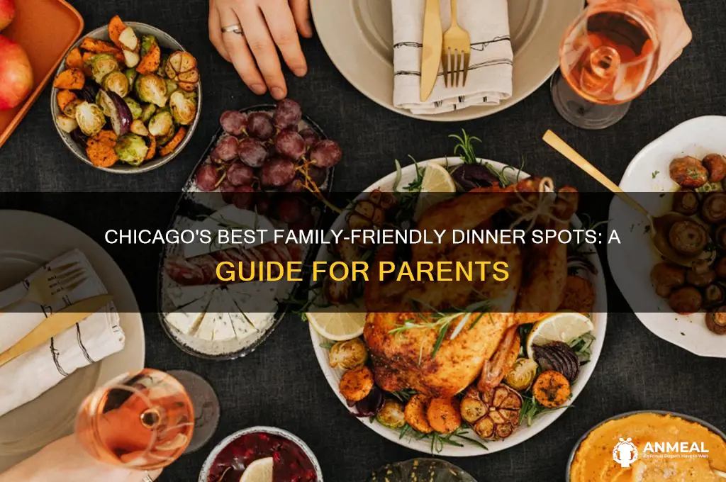 where to take family out for dinner in chicago