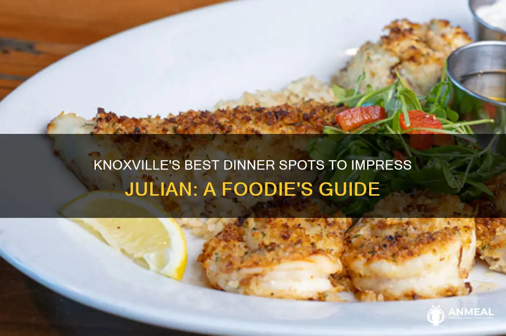where to take julian for dinner in knoxville tn