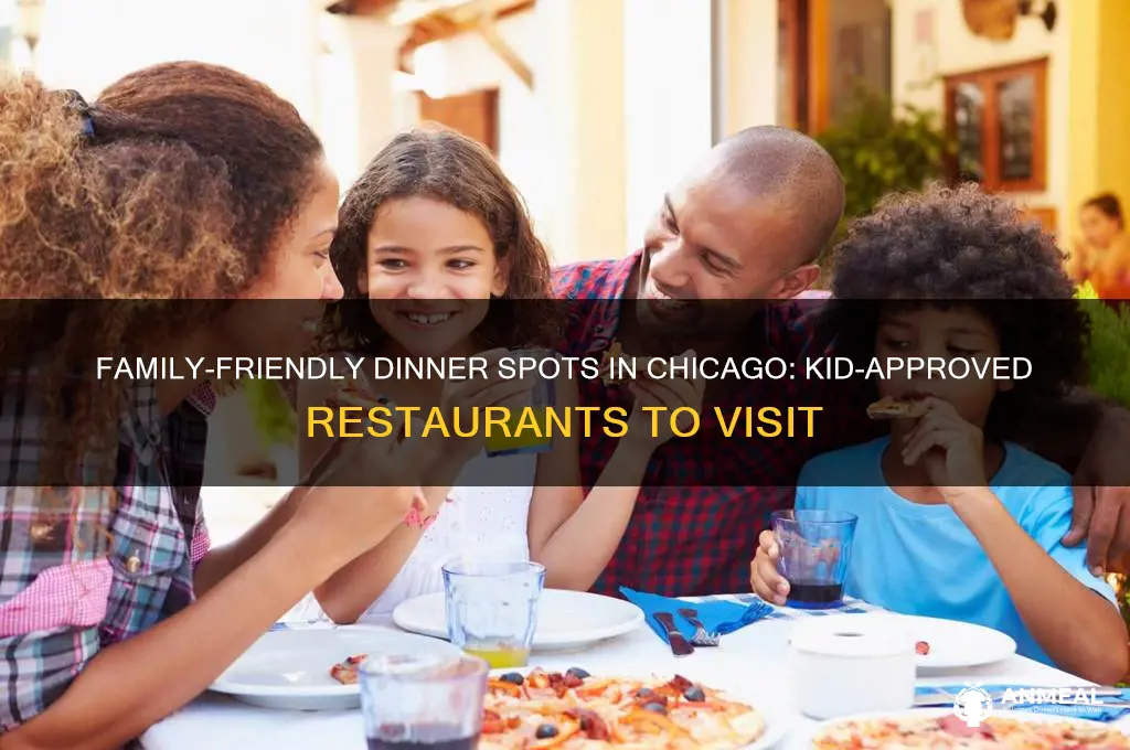 where to take kids for dinner in chicago