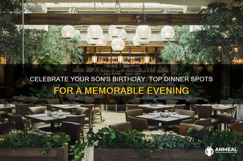 where to take my son for dinner on his bday