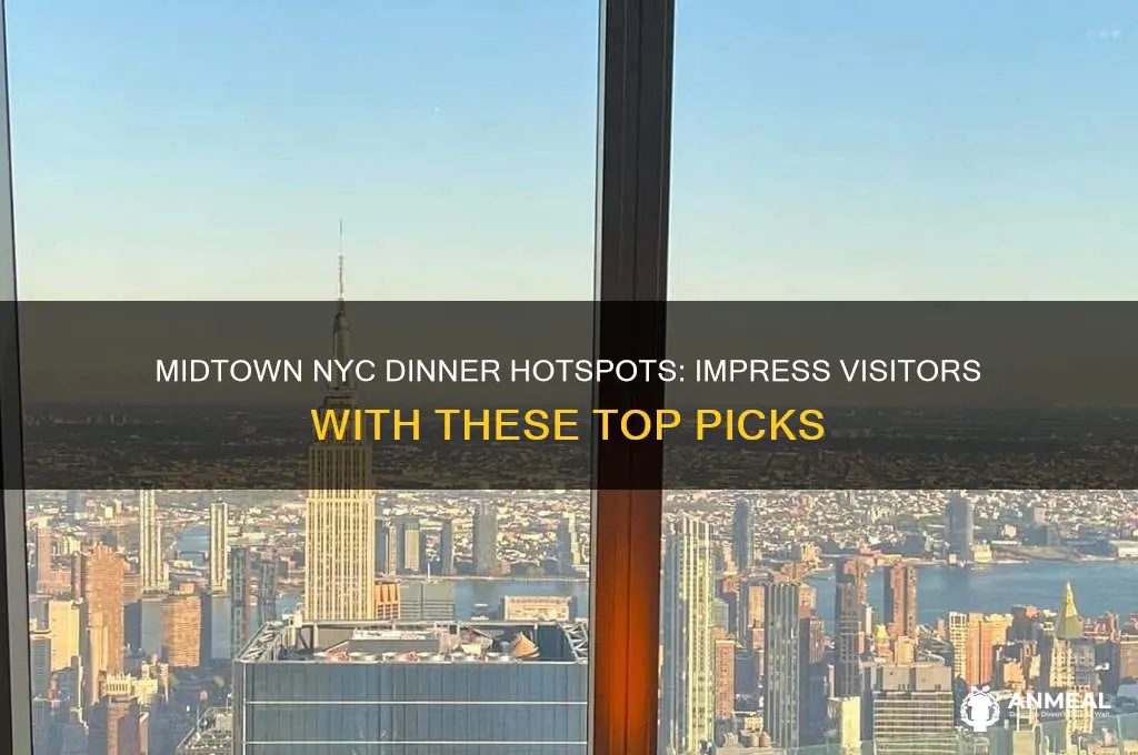 where to take visitor for dinner in midtown nyc