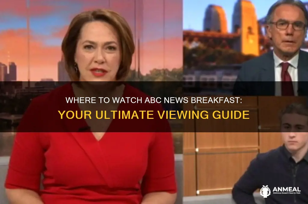 where to watch abc news breakfast