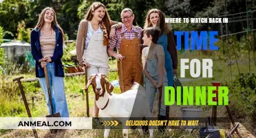 Where to Watch 'Back in Time for Dinner' Online: Streaming Guide