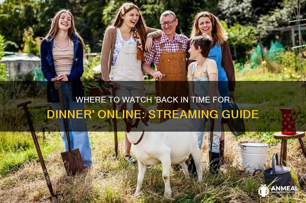where to watch back in time for dinner
