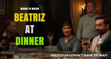 Beatriz at Dinner: Top Streaming Platforms to Watch the Film