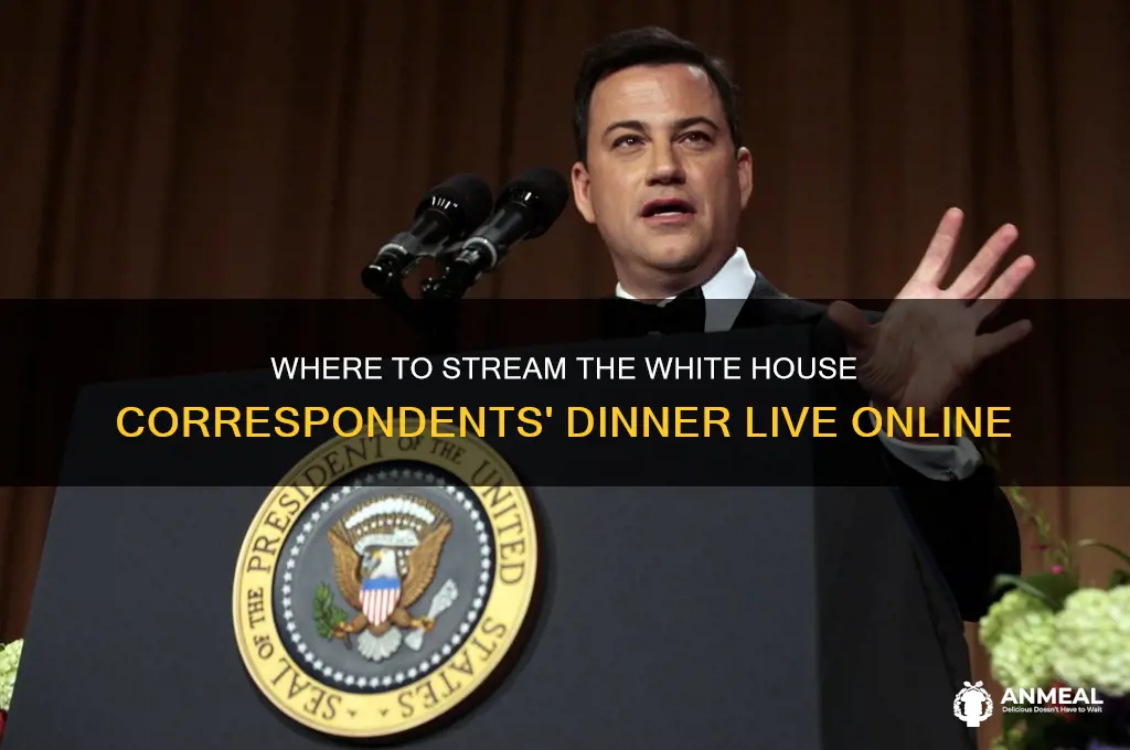 where to watch correspondence dinner