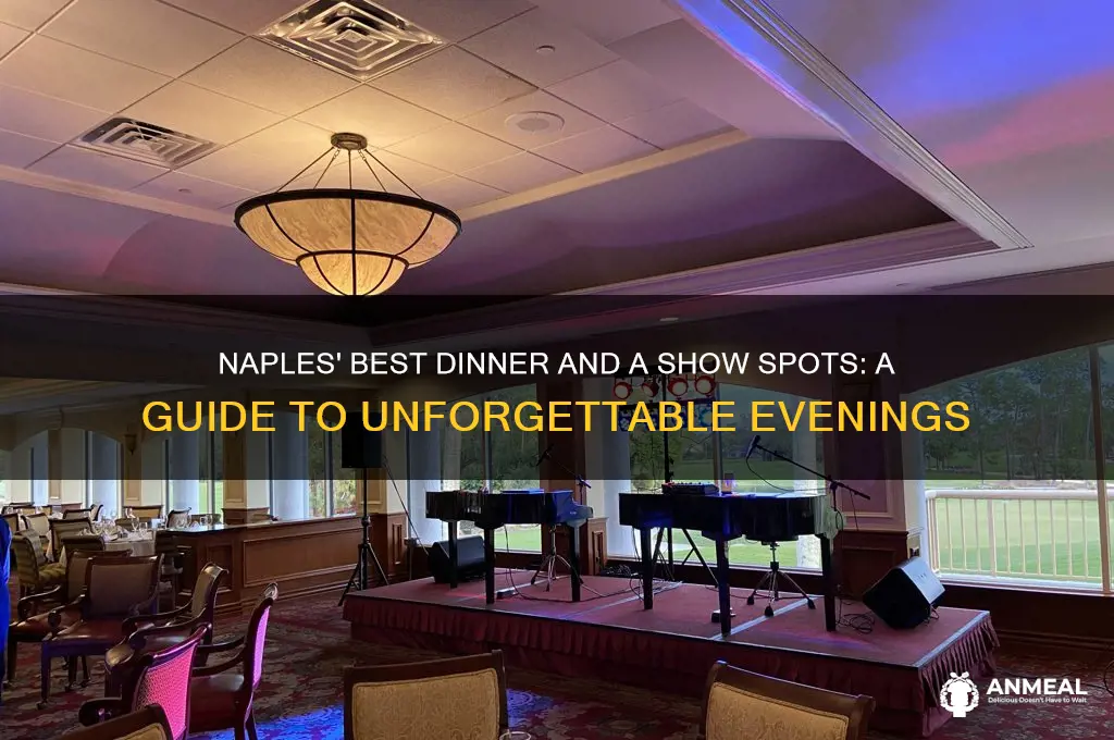 where to watch dinner and a show naple