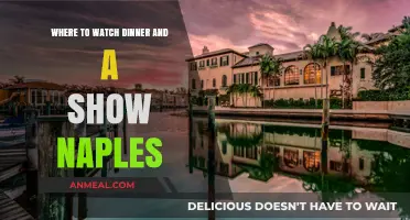Naples' Best Dinner and a Show Experiences: Top Venues to Visit