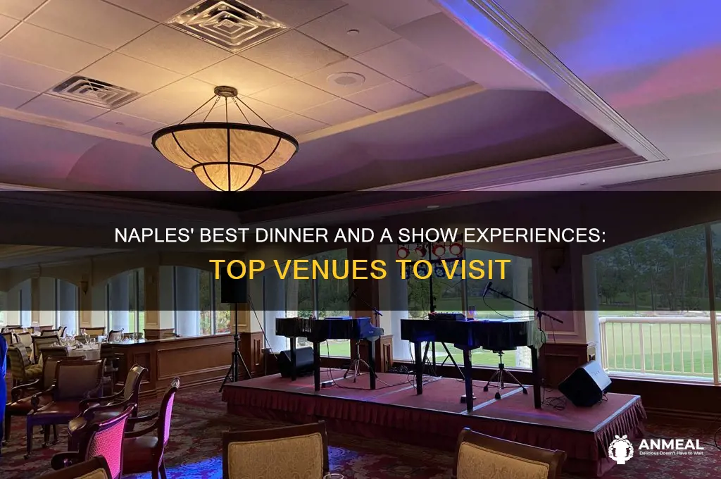 where to watch dinner and a show naples