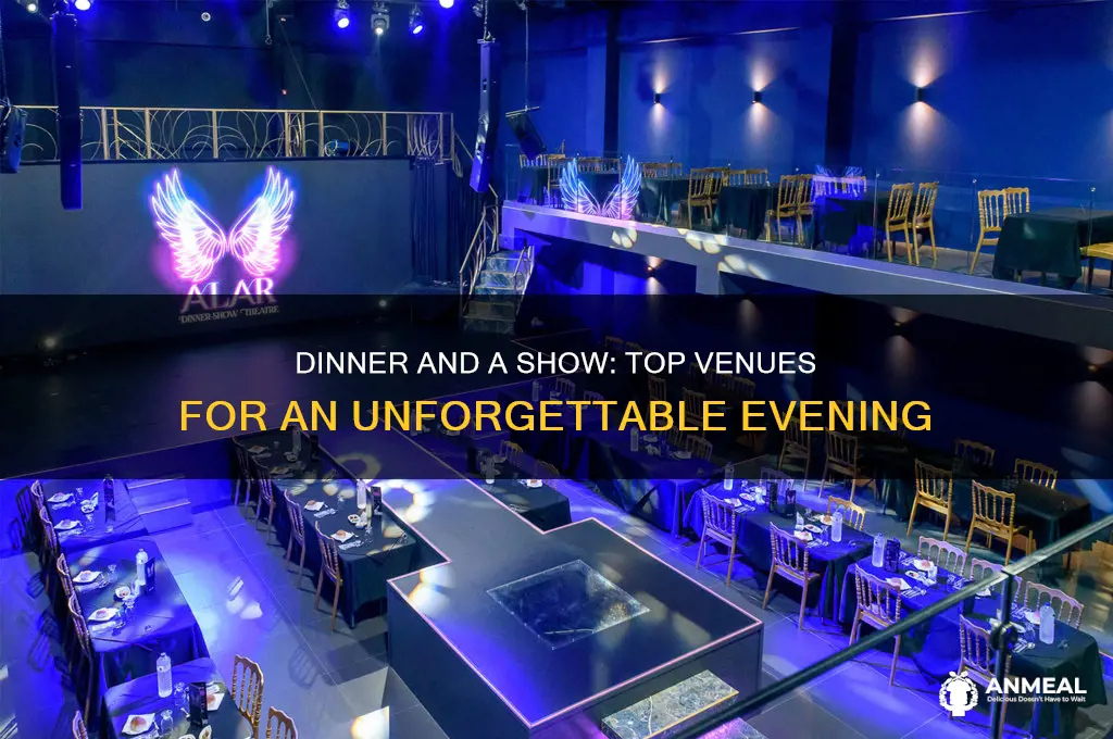 where to watch dinner and a show