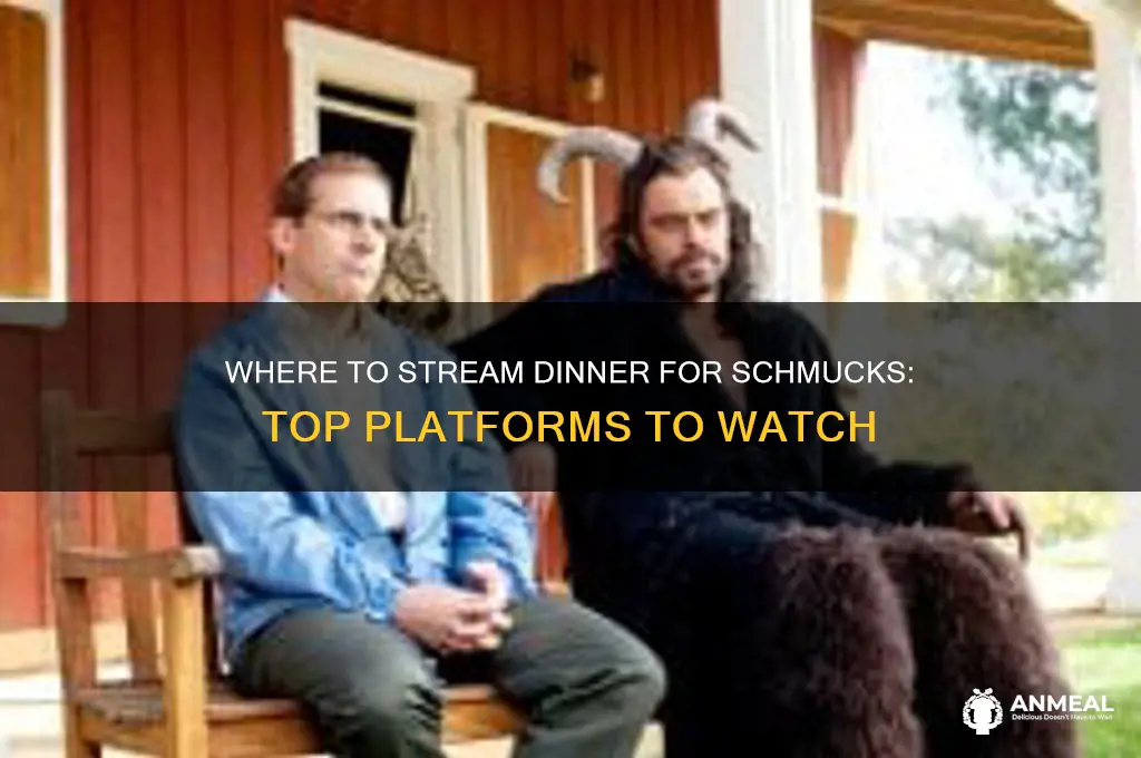 where to watch dinner for shmucks