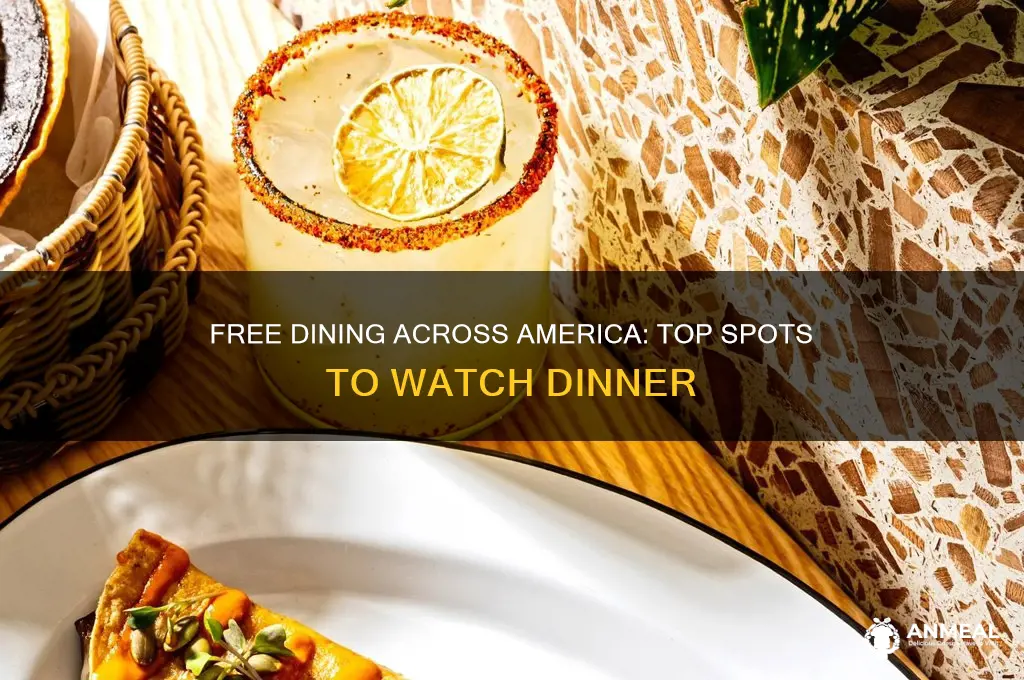 where to watch dinner in america for free
