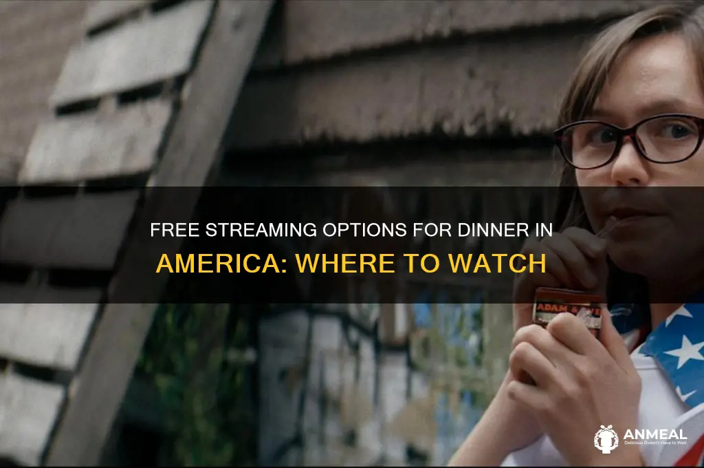 where to watch dinner in america free
