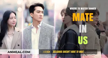 Where to Watch Dinner Mate in the US: Streaming Guide