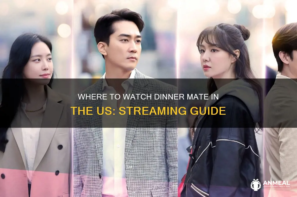 where to watch dinner mate in us