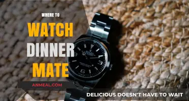 Where to Watch Dinner Mate: Top Streaming Platforms for Fans