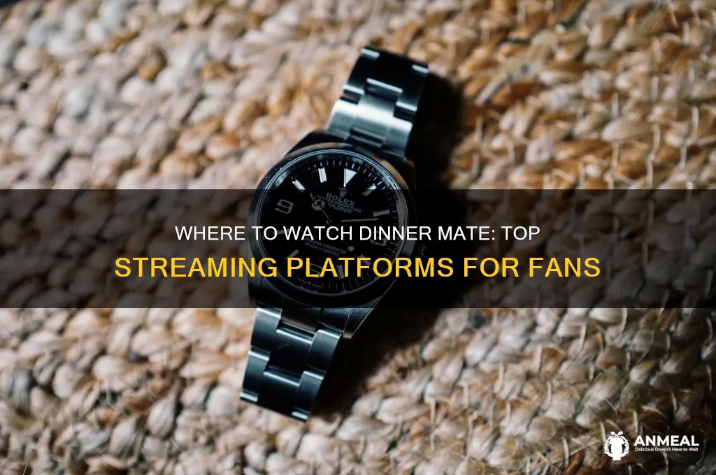 where to watch dinner mate
