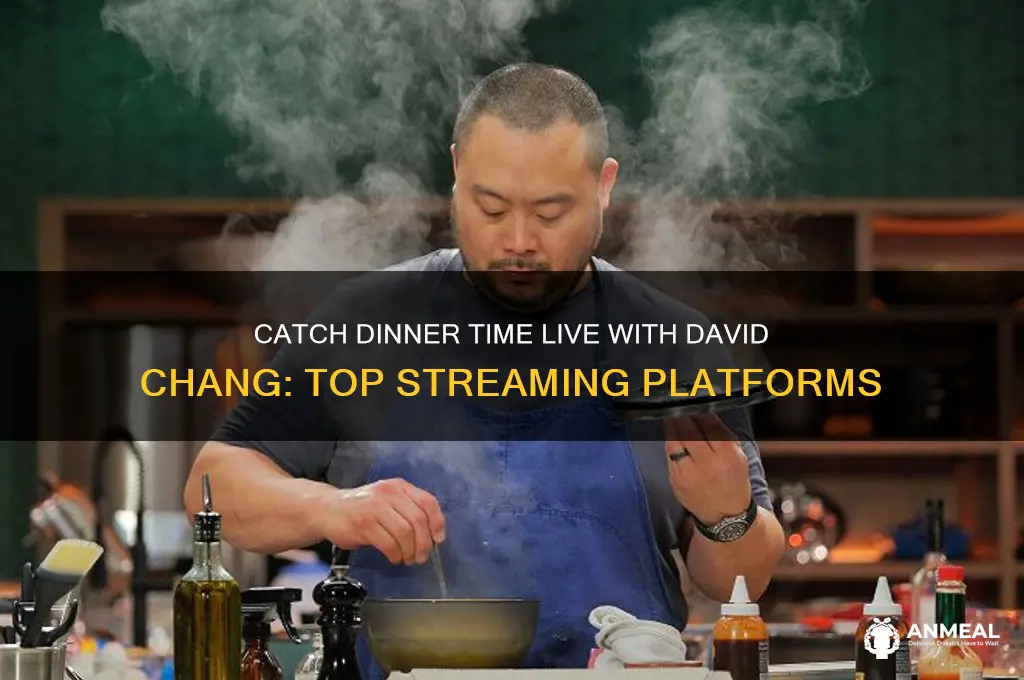 where to watch dinner time live with david chang