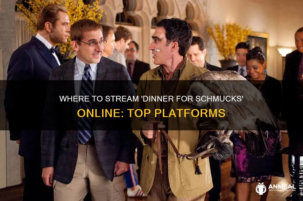 where to watch dinner with schmucks