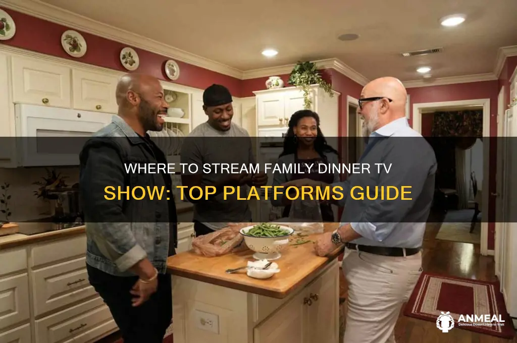 where to watch family dinner television show