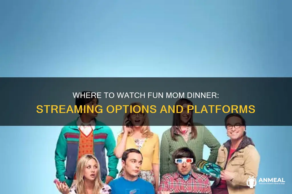 where to watch fun mom dinner
