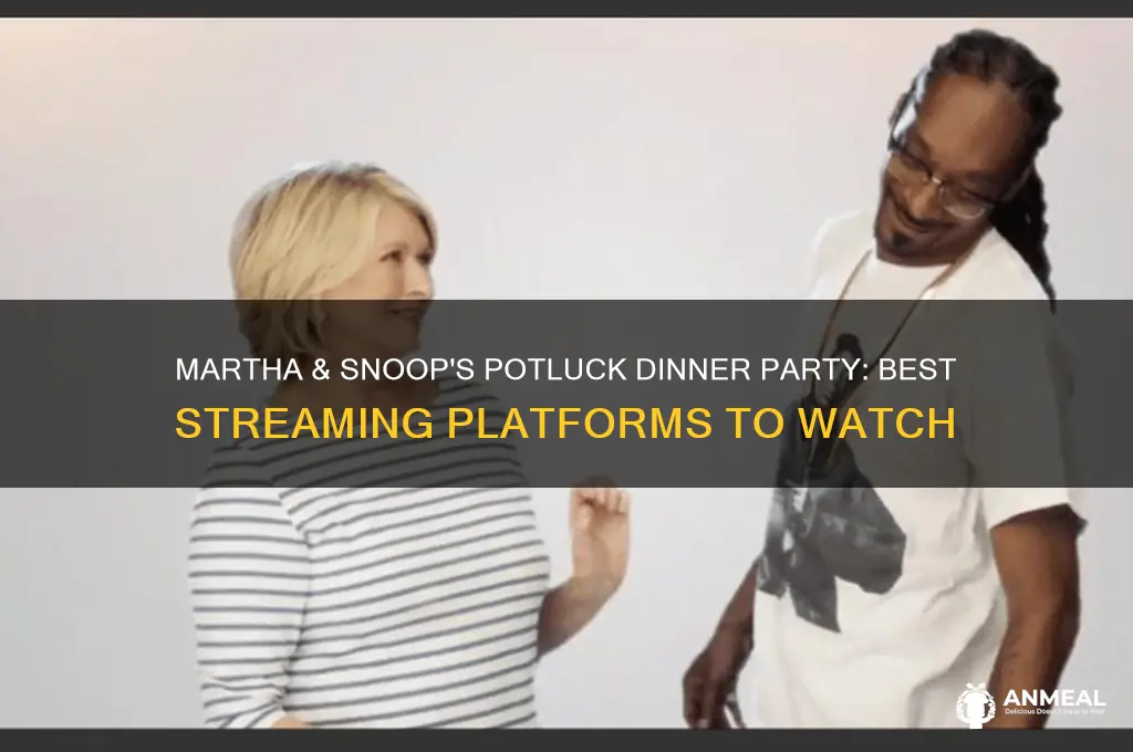 where to watch martha & snoop