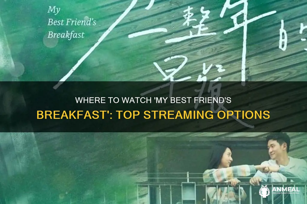 where to watch my best friend