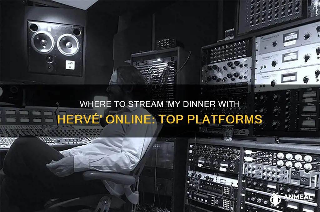where to watch my dinner with hervé