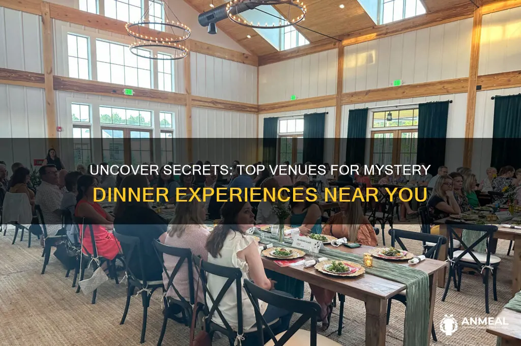 where to watch mystery dinner